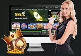 betvnd8